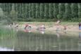 IMG 2500