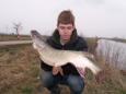 Roel snoek linge