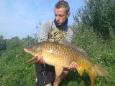 Karper 24pond
