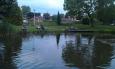 IMAG0168