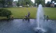 IMAG0145