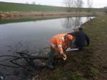 Dag 4 Snoeien achter de dijk!