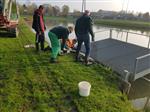 Vlonders en Palen geplaatst !